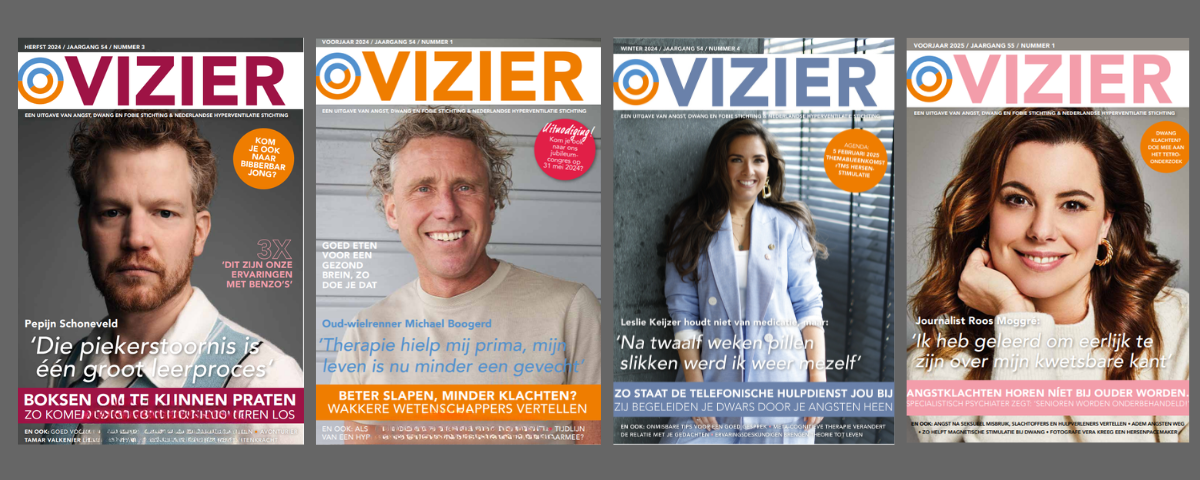 Vizier