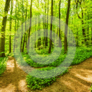 Afbeelding bij website (1200 x 630 px) (3)